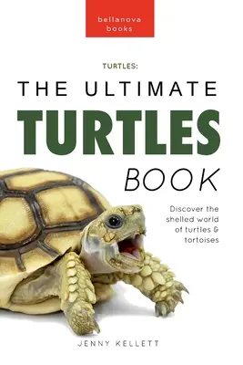 Żółwie: najlepsza książka o żółwiach: Odkryj skorupowy świat żółwi i żółwików - Turtles The Ultimate Turtles Book: Discover the Shelled World of Turtles & Tortoises