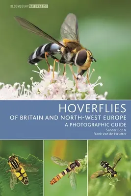 Hoverflies of Britain and North-West Europe: Przewodnik fotograficzny - Hoverflies of Britain and North-West Europe: A Photographic Guide