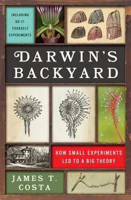 Podwórko Darwina: Jak małe eksperymenty doprowadziły do wielkiej teorii - Darwin's Backyard: How Small Experiments Led to a Big Theory