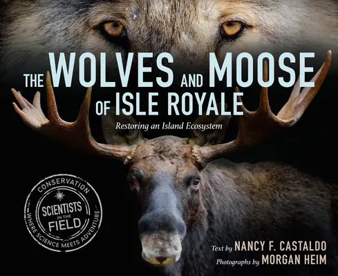 Wilki i łosie z Isle Royale: Przywracanie ekosystemu wyspy - The Wolves and Moose of Isle Royale: Restoring an Island Ecosystem