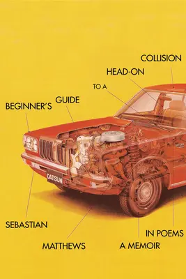 Przewodnik dla początkujących po zderzeniu czołowym - Beginner's Guide to a Head-On Collision