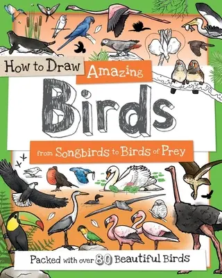 Jak narysować niesamowite ptaki: Od ptaków śpiewających do drapieżnych - How to Draw Amazing Birds: From Songbirds to Birds of Prey