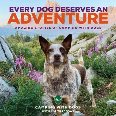 Każdy pies zasługuje na przygodę: Niesamowite historie biwakowania z psami - Every Dog Deserves an Adventure: Amazing Stories of Camping with Dogs