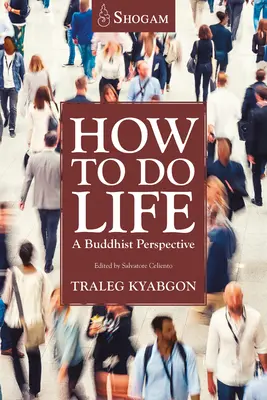 Jak prowadzić życie: Buddyjska perspektywa - How to Do Life: A Buddhist Perspective