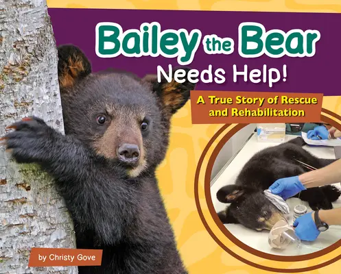 Niedźwiedź Bailey potrzebuje pomocy! Prawdziwa historia ratunku i rehabilitacji - Bailey the Bear Needs Help!: A True Story of Rescue and Rehabilitation