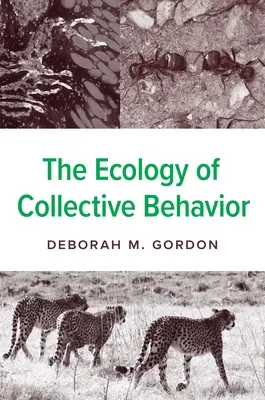 Ekologia zachowań zbiorowych - The Ecology of Collective Behavior
