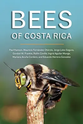 Pszczoły Kostaryki - Bees of Costa Rica