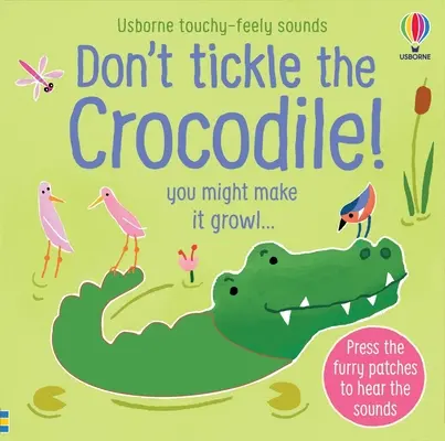 Nie łaskocz krokodyla! - Don't Tickle the Crocodile!