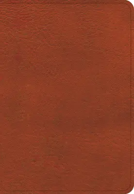 Kompaktowa Biblia KJV z dużym drukiem, skórzane etui w kolorze palonej sjeny - KJV Large Print Compact Reference Bible, Burnt Sienna Leathertouch