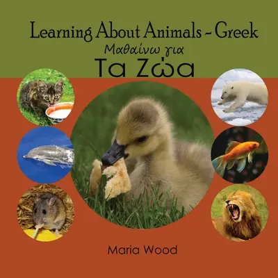 Nauka o zwierzętach - język grecki - Learning About Animals- Greek