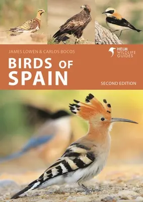 Ptaki Hiszpanii: Wydanie drugie - Birds of Spain: Second Edition