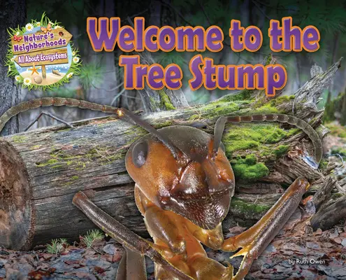 Witamy na pniu drzewa - Welcome to the Tree Stump