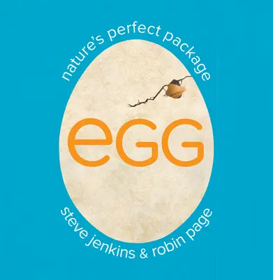 Jajko: idealne opakowanie natury - Egg: Nature's Perfect Package