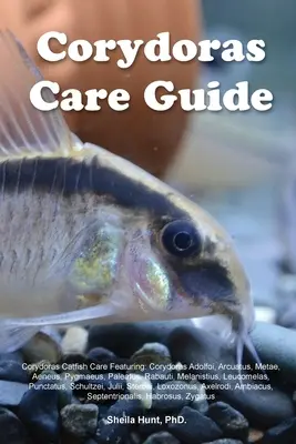 Corydoras Care Guide. Corydoras Catfish Care Featuring: Corydoras Adolfoi, Arcuatus, Metae, Aeneus, Pygmaeus, Paleatus, Rabauti, Melanistius, Leucomel. - Corydoras Care Guide. Corydoras Catfish Care Featuring: Corydoras Adolfoi, Arcuatus, Metae, Aeneus, Pygmaeus, Paleatus, Rabauti, Melanistius, Leucomel