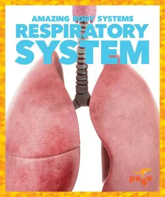 Układ oddechowy - Respiratory System