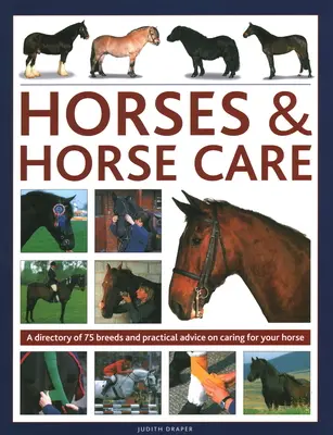 Konie i pielęgnacja koni: Katalog 80 ras i praktyczne porady dotyczące opieki nad koniem - Horses & Horse Care: A Directory of 80 Breeds and Practical Advice on Caring for Your Horse