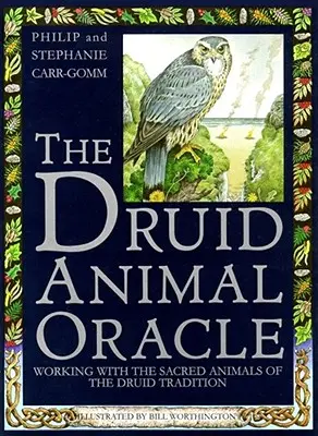 Druidzka wyrocznia zwierząt - Druid Animal Oracle