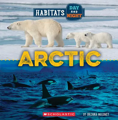 Arktyka (Dziki świat: Siedliska w dzień i w nocy) - Arctic (Wild World: Habitats Day and Night)