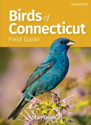 Przewodnik terenowy po ptakach Connecticut i Rhode Island - Birds of Connecticut & Rhode Island Field Guide