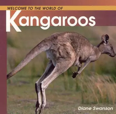 Witamy w świecie kangurów - Welcome to the World of Kangaroos