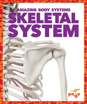 Układ kostny - Skeletal System