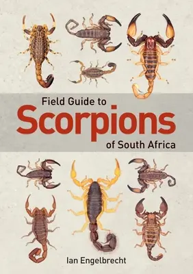 Przewodnik terenowy po skorpionach Afryki Południowej - Field Guide to Scorpions of South Africa