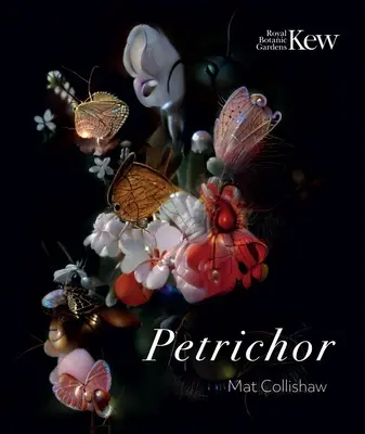 Petrichor