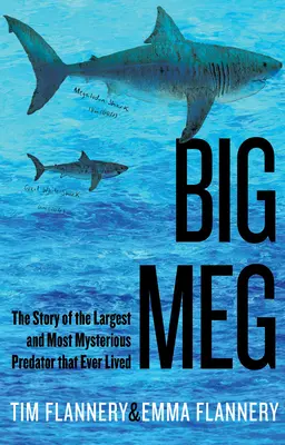 Big Meg: Historia największego i najbardziej tajemniczego drapieżnika, jaki kiedykolwiek żył - Big Meg: The Story of the Largest and Most Mysterious Predator That Ever Lived