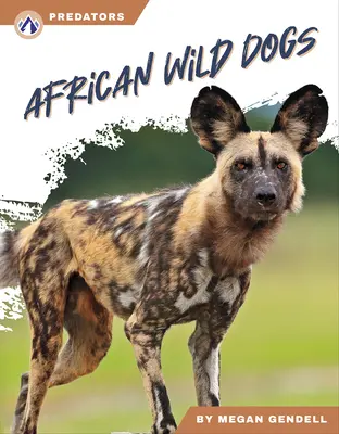 Afrykańskie dzikie psy - African Wild Dogs