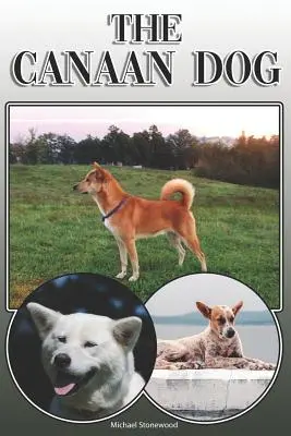 The Canaan Dog: A Complete and Comprehensive Owners Guide To: Kupowanie, posiadanie, zdrowie, pielęgnacja, szkolenie, posłuszeństwo, zrozumienie i - The Canaan Dog: A Complete and Comprehensive Owners Guide To: Buying, Owning, Health, Grooming, Training, Obedience, Understanding and