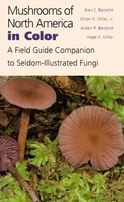 Grzyby Ameryki Północnej w kolorze: przewodnik terenowy towarzyszący rzadko ilustrowanym grzybom - Mushrooms of North America in Color: A Field Guide Companion to Seldom-Illustrated Fungi