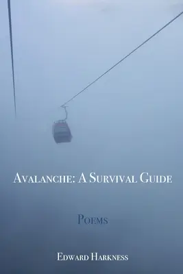 Avalanche: Przewodnik przetrwania - Avalanche: A Survival Guide