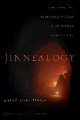 Jinnealogy: Czas, islam i myśl ekologiczna w średniowiecznych ruinach Delhi - Jinnealogy: Time, Islam, and Ecological Thought in the Medieval Ruins of Delhi
