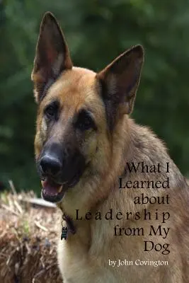 Czego nauczyłem się o przywództwie od mojego psa - What I Learned About Leadership From My Dog