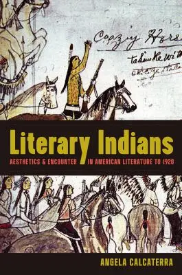 Literary Indians: Estetyka i spotkanie w literaturze amerykańskiej do 1920 roku - Literary Indians: Aesthetics and Encounter in American Literature to 1920
