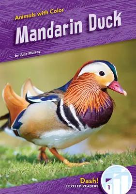 Kaczka mandarynka - Mandarin Duck