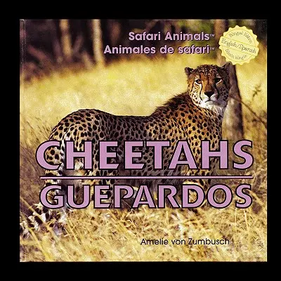 Gepardy - Cheetahs/Guepardos