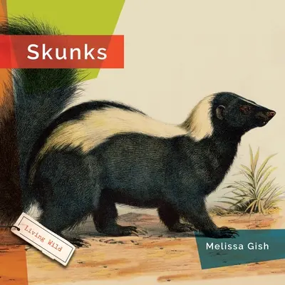 Skunksy - Skunks