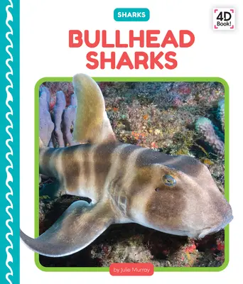 Rekiny bycze - Bullhead Sharks