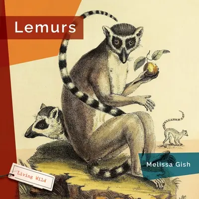 Lemury - Lemurs