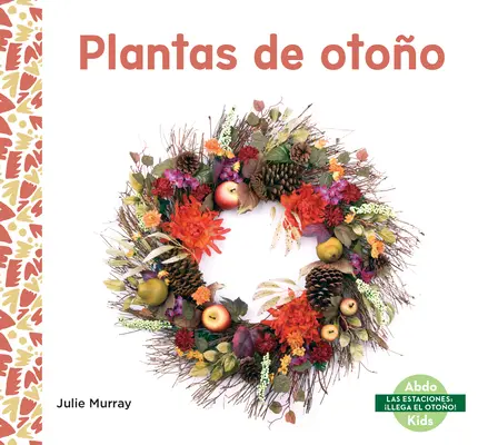 Rośliny Otoo - Plantas de Otoo