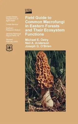 Przewodnik terenowy po pospolitych makrogrzybach w lasach wschodnich i ich funkcji ekosystemowej - Field Guide to Common Macrofungi in Eastern Forests and Their Ecosystem Function