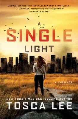 Pojedyncze światło: Thriller - A Single Light: A Thriller