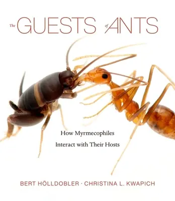 Goście mrówek: Jak myrmekofile wchodzą w interakcje ze swoimi gospodarzami - The Guests of Ants: How Myrmecophiles Interact with Their Hosts