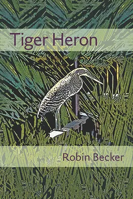 Czapla tygrysia - Tiger Heron