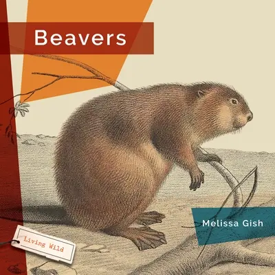 Bobry - Beavers