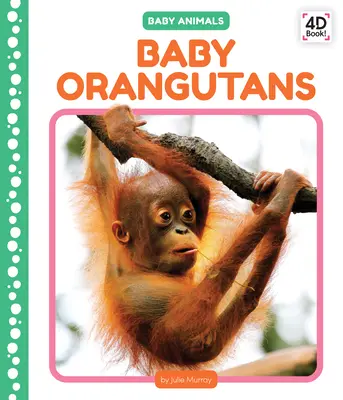 Małe orangutany - Baby Orangutans