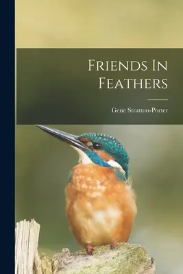 Przyjaciele w piórach - Friends In Feathers