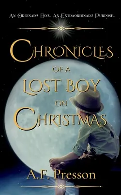 Kroniki zagubionego chłopca w Boże Narodzenie - Chronicles of a Lost Boy on Christmas