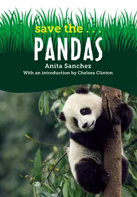 Uratuj... pandy - Save The...Pandas